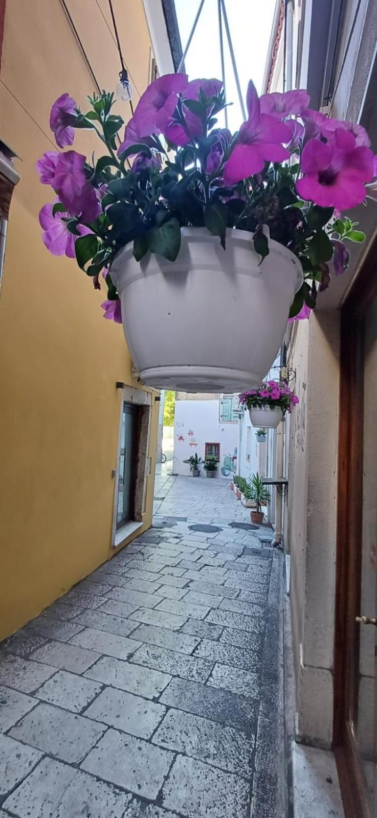 Holiday home Townhouse Sea View *